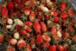 Fragaria Orientalis Extract